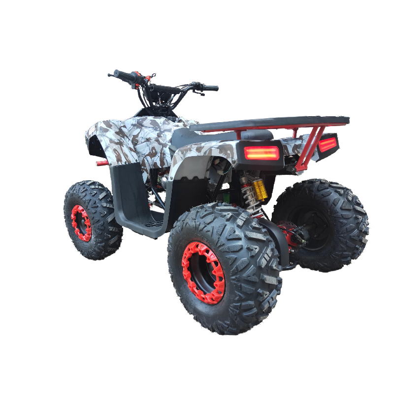 Factory directly 110CC/125CC ATV for adults ATV Quad for sale